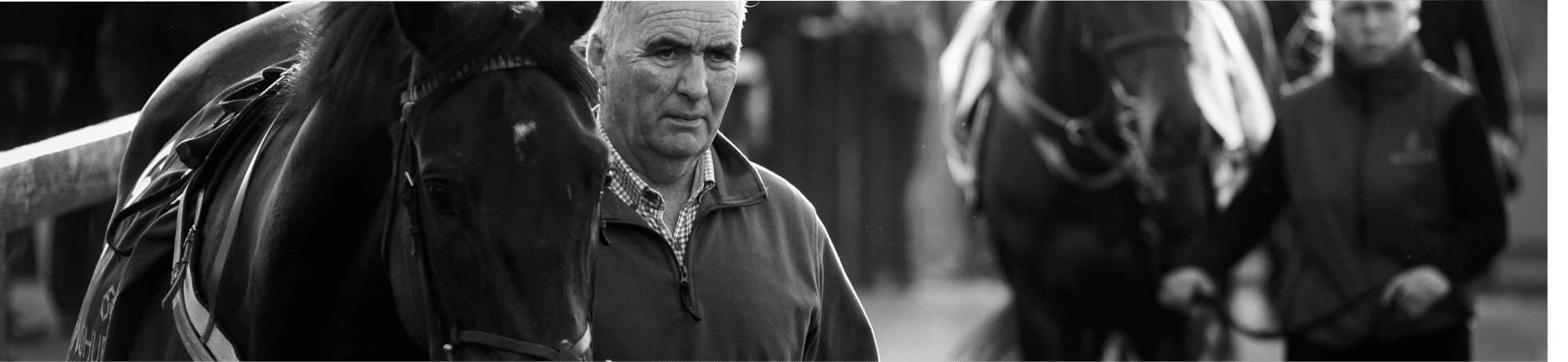 Punchestown Racecourse