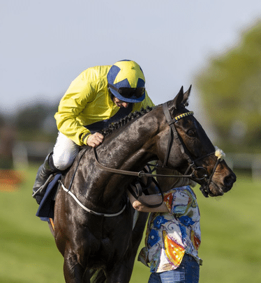 Punchestown Racing