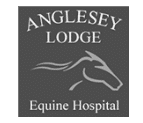 Anglesey Lodge Equine Hospital