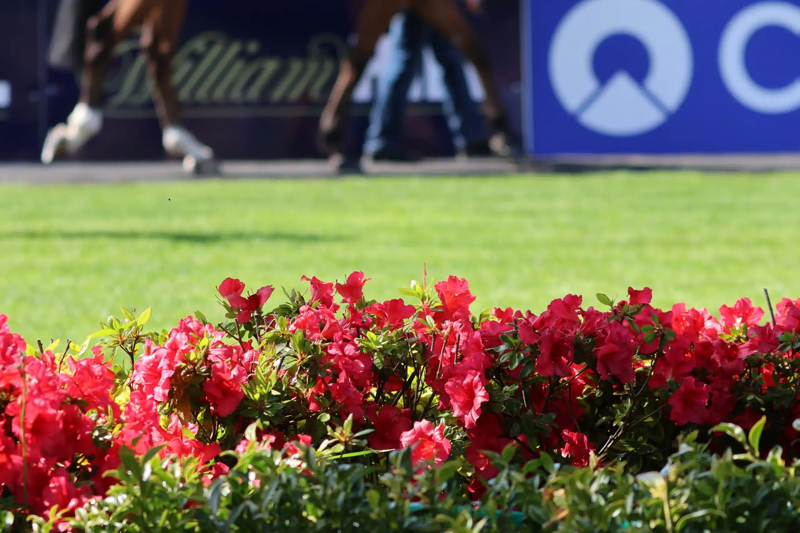 Punchestown Racecourse